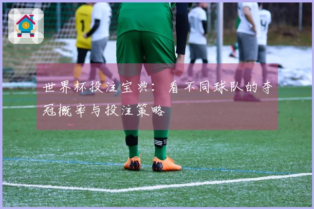 世界杯投注宝典：看不同球队的夺冠概率与投注策略