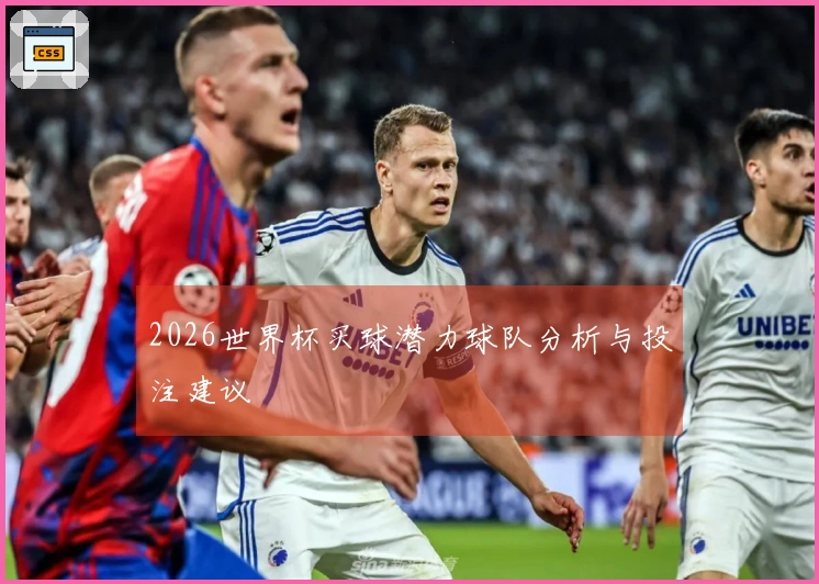 2026世界杯买球潜力球队分析与投注建议