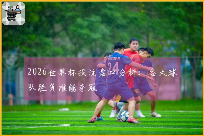 2026世界杯投注盘口分析：各大球队胜负谁能夺冠