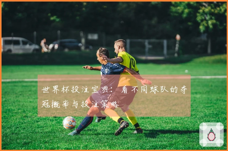 世界杯投注宝典：看不同球队的夺冠概率与投注策略