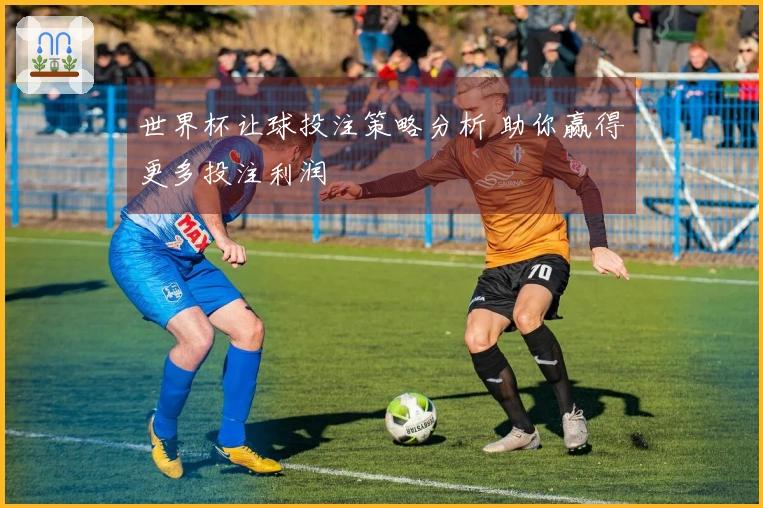 世界杯让球投注策略分析 助你赢得更多投注利润