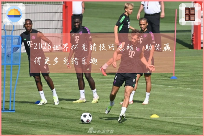 2026世界杯竞猜技巧总结，助你赢得更多竞猜乐趣